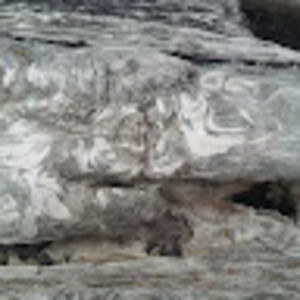 Meet your Posher, Greg